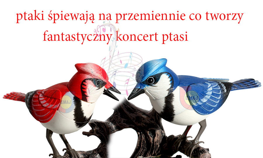 PTASZKI ŚPIEWAJĄCE KOLOROWE REAGUJĄ NA RUCH E0110 EMAJ