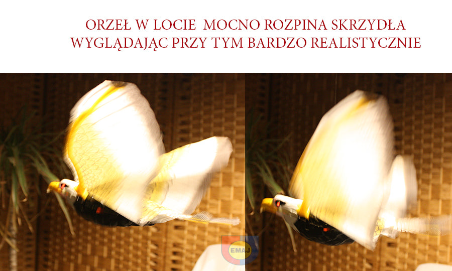 ORZEŁ LATAJĄCY Z DŹWIĘKIEM NA ŻYŁCE ZESTAW ŚWIECĄCE OCZY E1666 EMAJ
