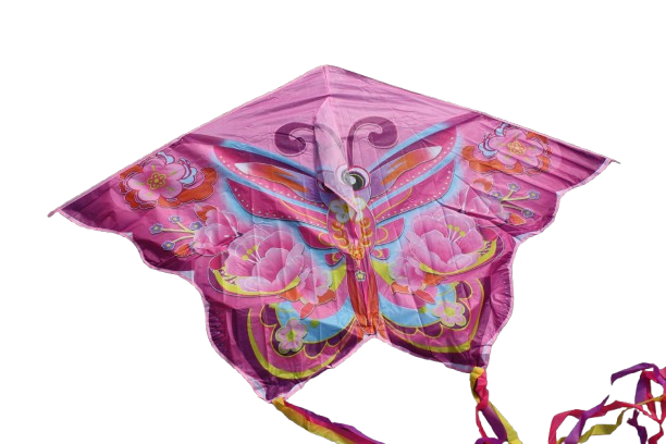 LATAWIEC MOTYL MOTYLEK 150X100 CM DWA KOLORY CIĘTY OGON DŁUGI E2035 EMAJ