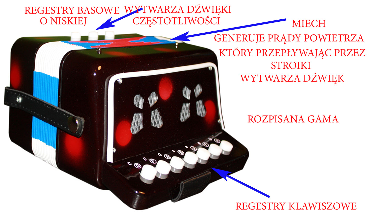 AKORDEON DLA DZIECI Z OPISANĄ GAMĄ DO NAUKI HARMONIA E328 EMAJ