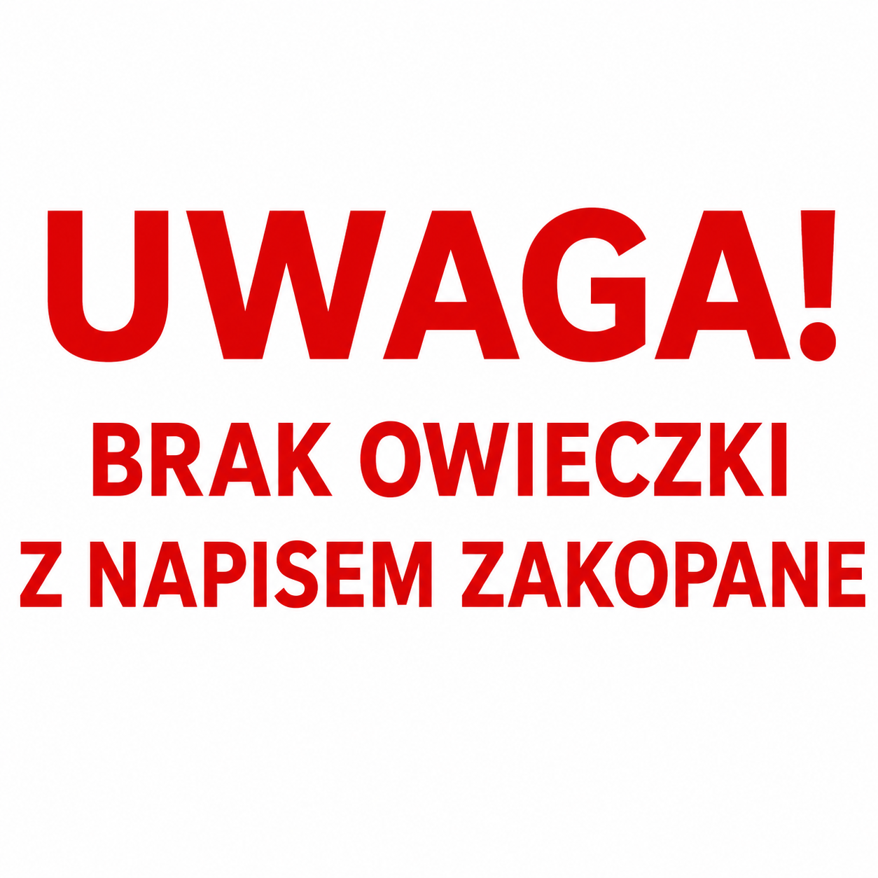 OWIECZKA  W SZALICZKU Z NAPISEM MIEJSCOWOŚCI  MASKOTKA OWCA BARANEK 15 CM E0382 EMAJ